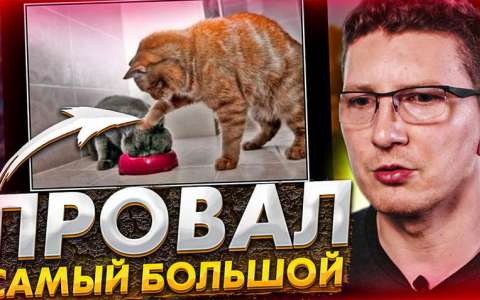 РАССКАЖИТЕ О ВАШЕЙ НЕУДАЧЕ – вопрос на интервью // Поиск работы в США