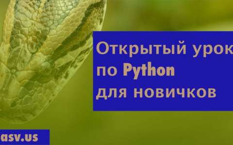 Открытый урок Python для новичков