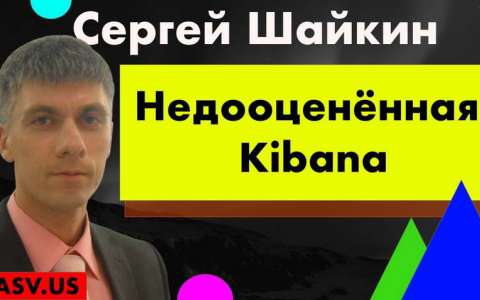 Недооценённая Kibana в жизни тестировщика - Сергей Шайкин