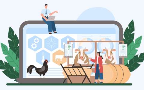 Работа на ферме vs IT-профессии — что выбрать?