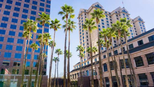 IT-ланч в San Jose, CA